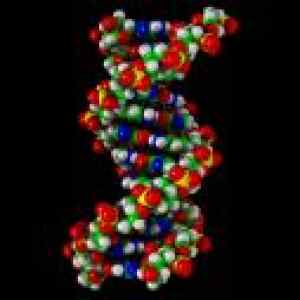 dna.jpg