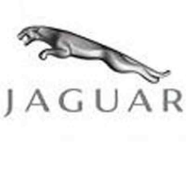 jaguar.jpg